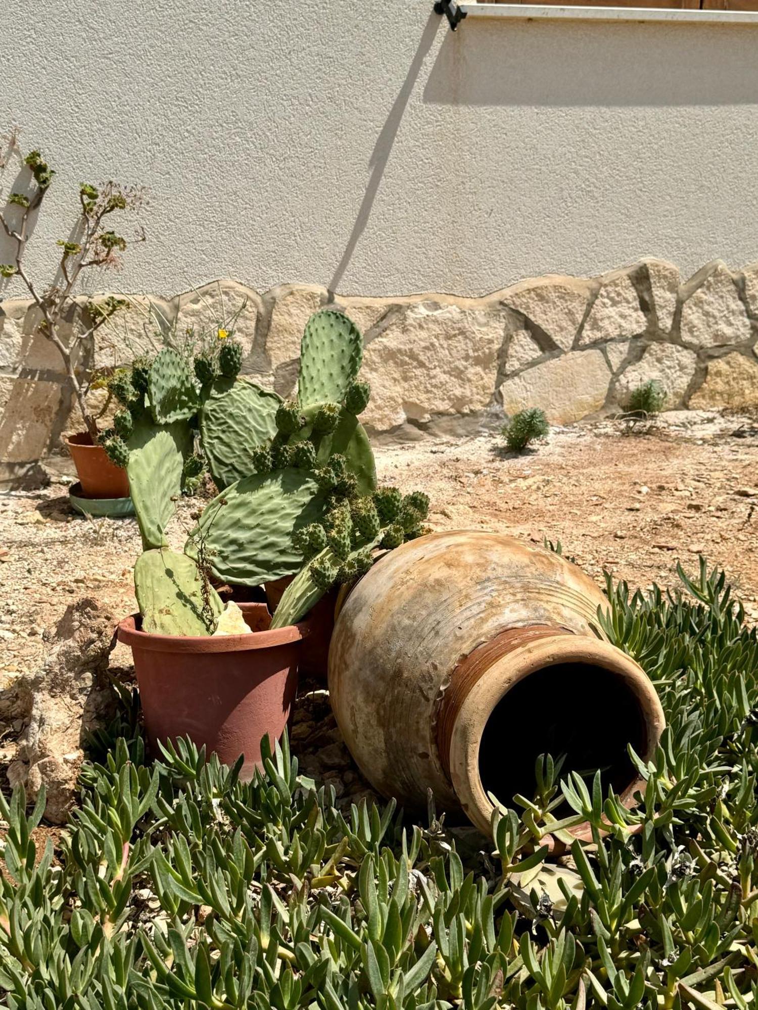 Aria Case Vacanze Φαβινιάνα Εξωτερικό φωτογραφία